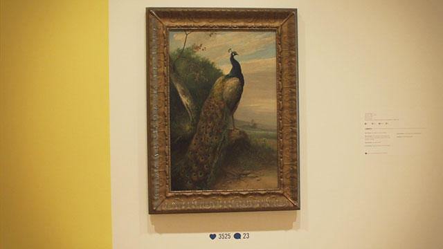 Art Zone with Nancy Guppy 12/12/14