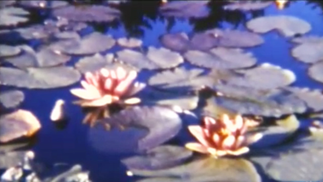 History in Motion: Seattle by Iwao Matsushita