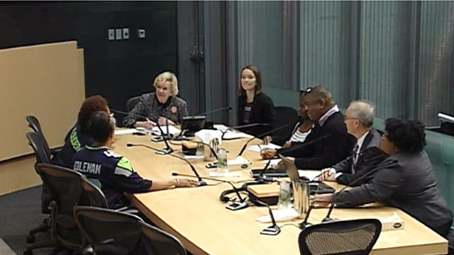 Parks, Seattle Center, Libraries, and Gender Pay Equity Committee 1/23/15