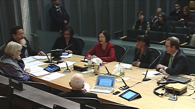 Public Safety, Civil Rights and Technology Committee 1/20/15