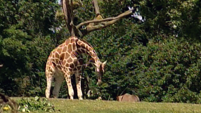 Eccentric Seattle: Seattle's Historical Landmarks