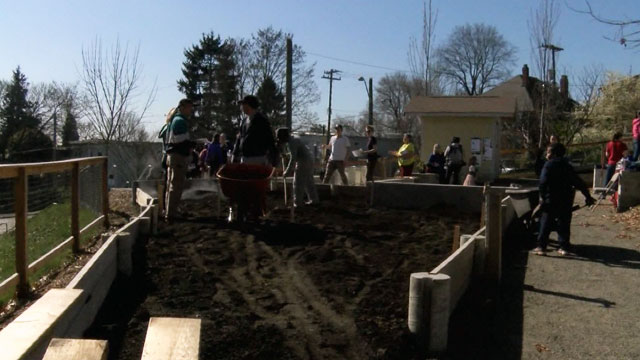 CityStream: 28 P-Patches