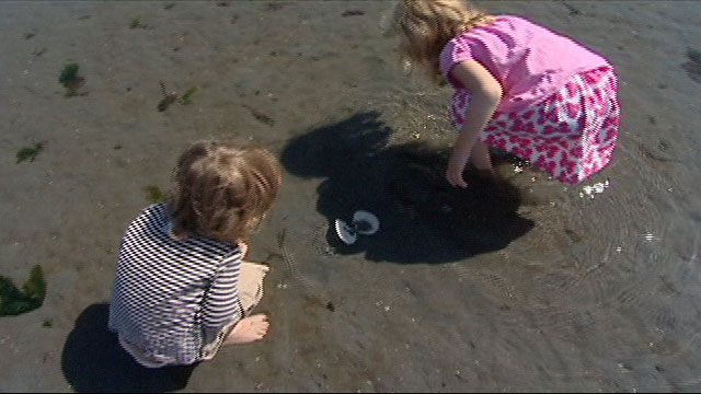 CityStream: Beach Naturalists