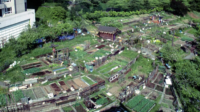 CityStream: Sowing Seeds of Community 6/30/2016