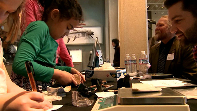 CityStream: Archaeology Day at the Burke