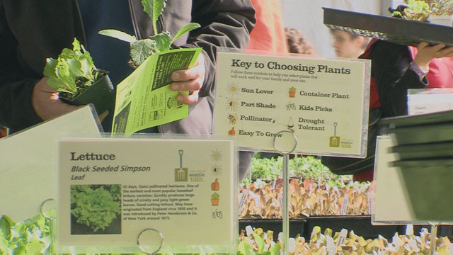 CityStream: Edible Plants