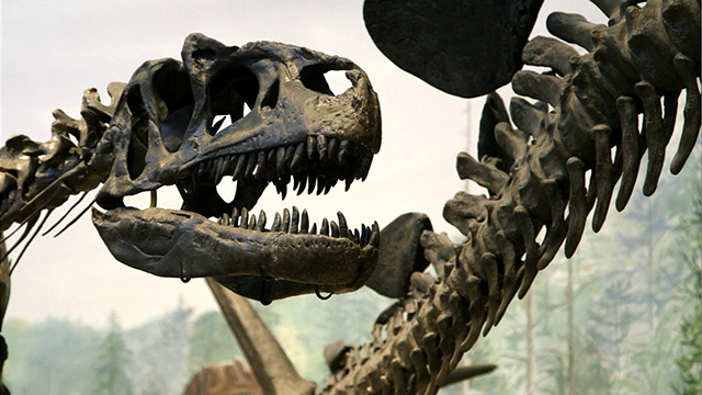 CityStream: Digging Into History 4/28/2016