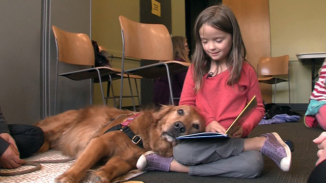 CityStream: Reading and Rebuilding CityStream: Reading and Rebuilding