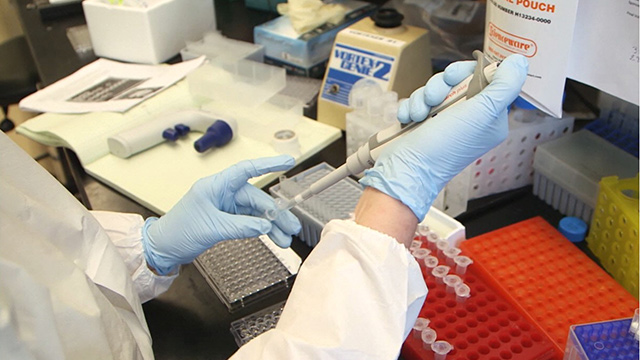 Local researchers progressing on malaria vaccine CityStream: Malaria Vaccine