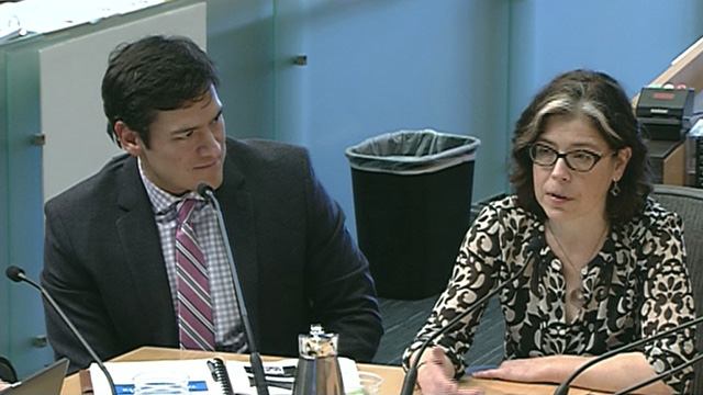 Gender Equity, Safe Communities & New Americans Committee - Special Meeting 2/23/2017