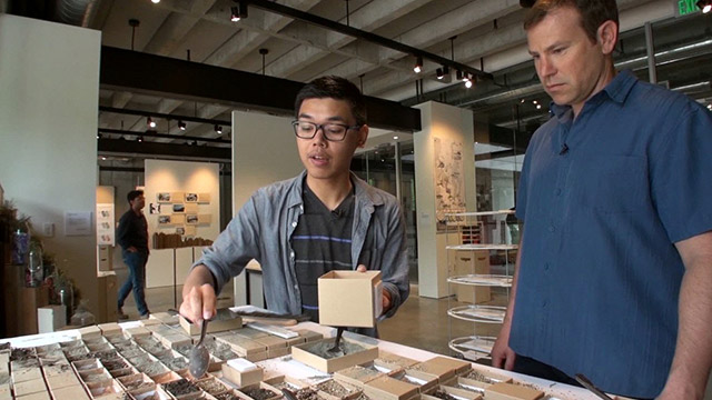 Making the Cut: Centennial Exhibit at the University of Washington