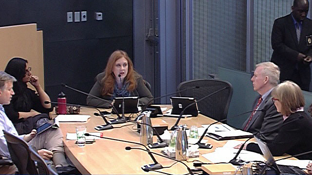 Civil Rights, Utilities, Economic Development & Arts 4/11/17