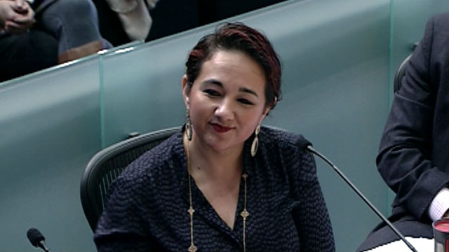 Gender Equity, Safe Communities & New Americans 4/26/17