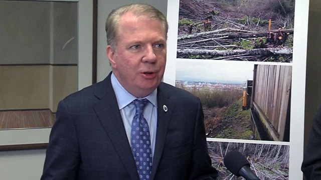 City settles case regarding unauthorized tree cutting