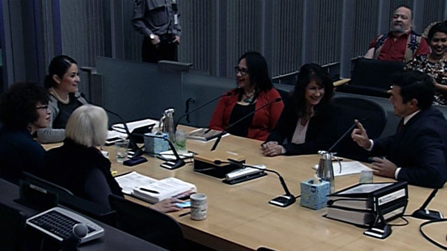 Gender Equity, Safe Communities, and New Americans Committee Public Hearing 11/16/17