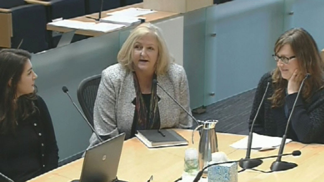 Human Services and Public Health Committee 12/13/17