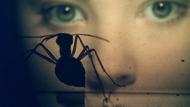 Art Zone: Movie Minute with Scarecrow's Matt Lynch: Phase IV 