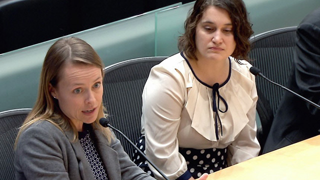 Civic Development, Public Assets, & Native Communities Committee 1/17/2018