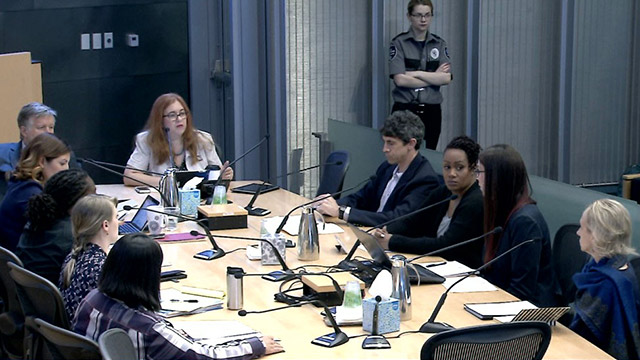 Civil Rights, Utilities, Economic Development & Arts Committee 6/12/2018