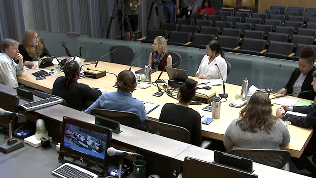 Civil Rights, Utilities, Economic Development & Arts Committee 5/22/2018