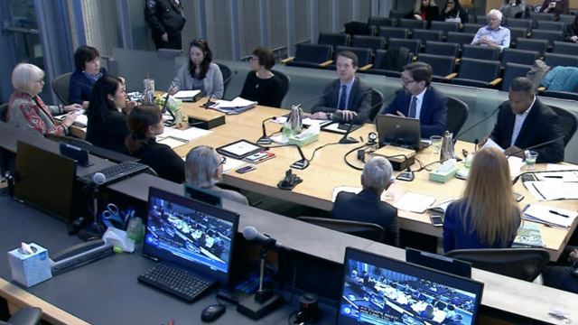 Civic Development, Public Assets, & Native Communities Committee 1/16/19