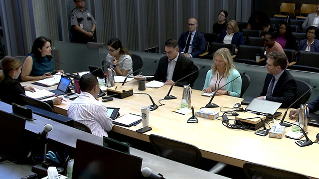 Gender Equity, Safe Communities, New Americans & Education Committee 7/31/19