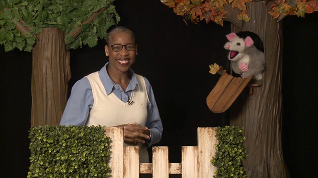 Look, Listen and Learn: Why Worry? 