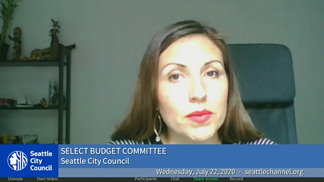 Select Budget Committee 7/22/20