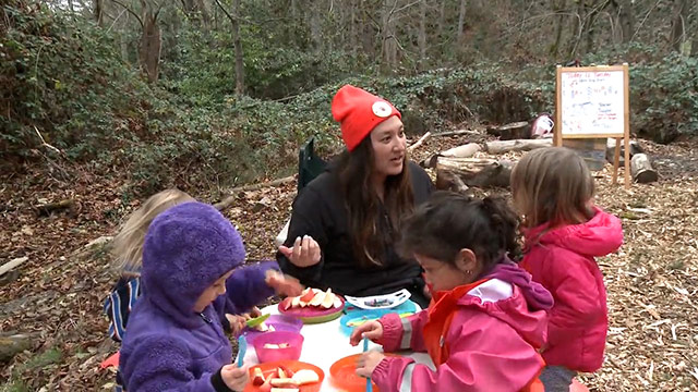 Look, Listen and Learn: Possum's Apple Tree 