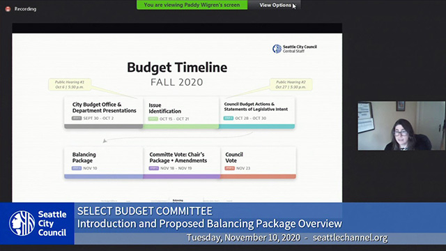 Select Budget Committee Session I 11/10/20