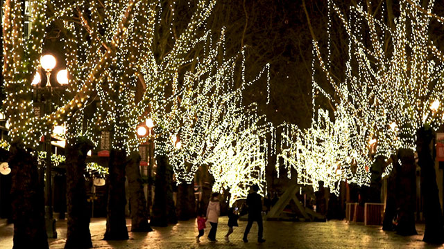 CityStream: Actors, Artists, and Booksellers Survive the Pandemic 