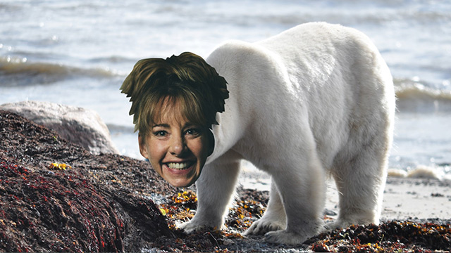 Art Zone With Nancy Guppy 2/19/2021