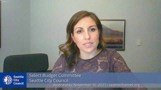 Select Budget Committee Public Hearing 11/10/21