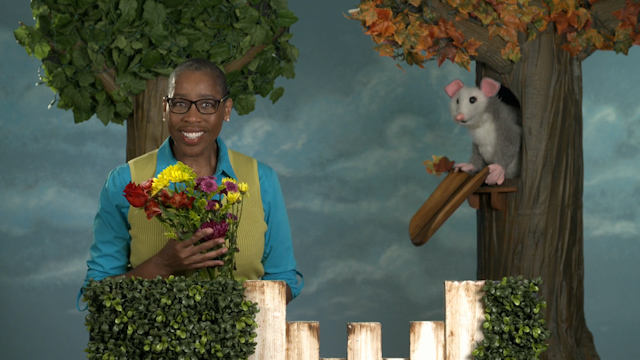 Look, Listen and Learn: Sharing is Caring 