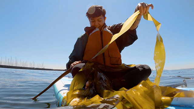 CityStream: Restoring Kelp Forests & A Rest Stop for Salmon