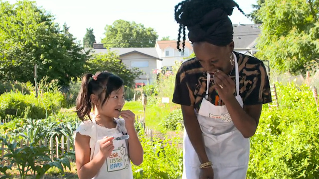 Look, Listen and Learn: Sensible Senses