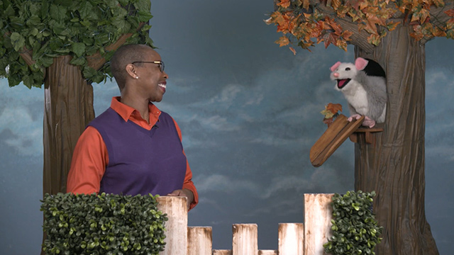 Look, Listen and Learn: Black, Brown, and Proud