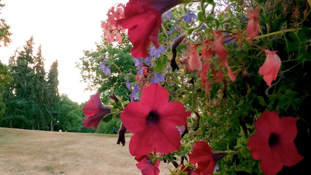 CityStream: Extended Allergy Season & Lifesaving Lessons