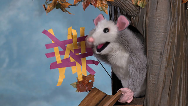 Look, Listen & Learn: Awesome Possum