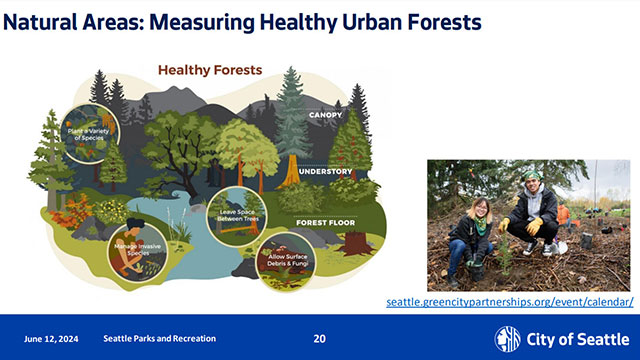 Parks, Public Utilities & Technology 6/12/2024