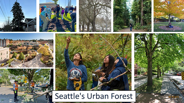 Sustainability, City Light, Arts & Culture 4/19/2024