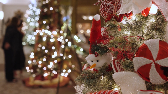 CityStream: Festival of Trees & Salmon Galore