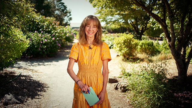 Art Zone with Nancy Guppy: August 2025