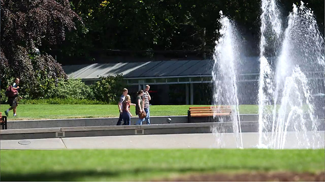 CityStream: Seattle Center Summer Events