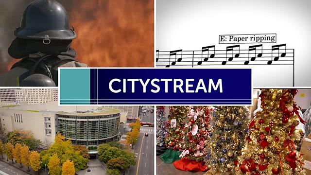 CityStream: 11-24-25