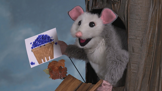 Look, Listen & Learn: Berry Good Blueberries