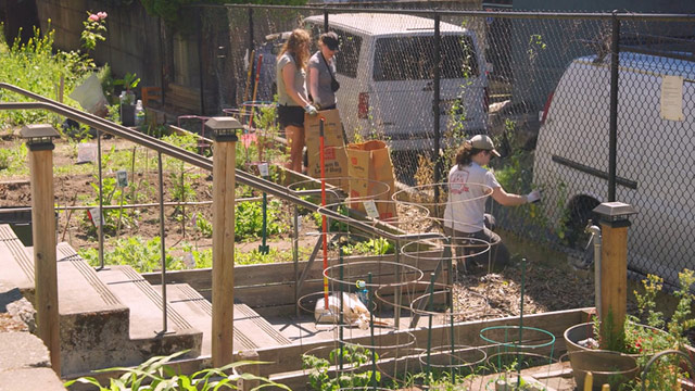 Lake City Court P-Patch gets spruced up for One Seattle Day of Service