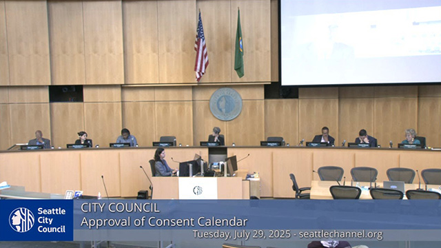 City Council 7-29-2025