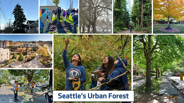  Select Committee on the Comprehensive Plan 4-30-25