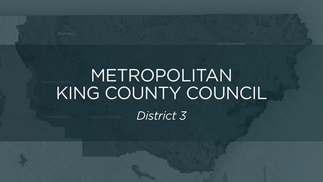 Metropolitan King County, Council District 3